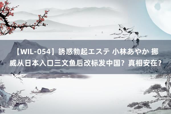 【WIL-054】誘惑勃起エステ 小林あやか 挪威从日本入口三文鱼后改标发中国？真相安在？