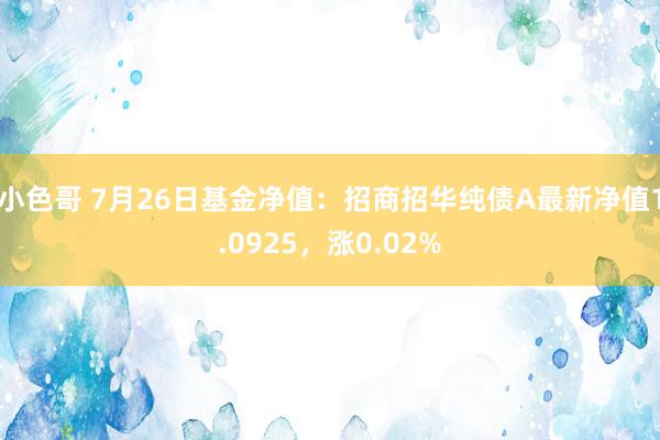 小色哥 7月26日基金净值：招商招华纯债A最新净值1.0925，涨0.02%