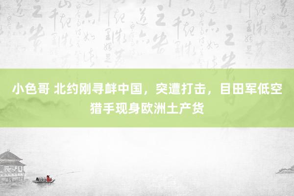 小色哥 北约刚寻衅中国，突遭打击，目田军低空猎手现身欧洲土产货