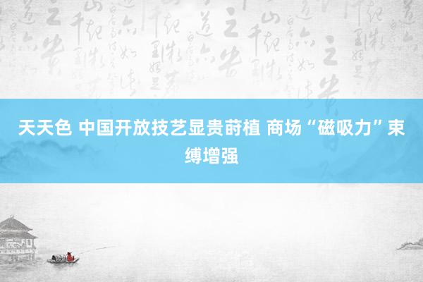 天天色 中国开放技艺显贵莳植 商场“磁吸力”束缚增强