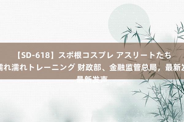 【SD-618】スポ根コスプレ アスリートたちの濡れ濡れトレーニング 财政部、金融监管总局，最新发声