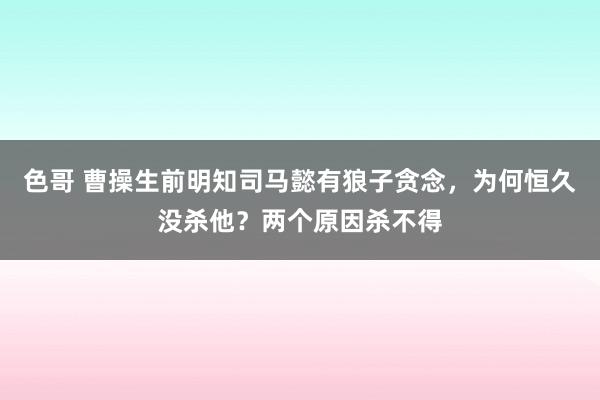 色哥 曹操生前明知司马懿有狼子贪念，为何恒久没杀他？两个原因杀不得