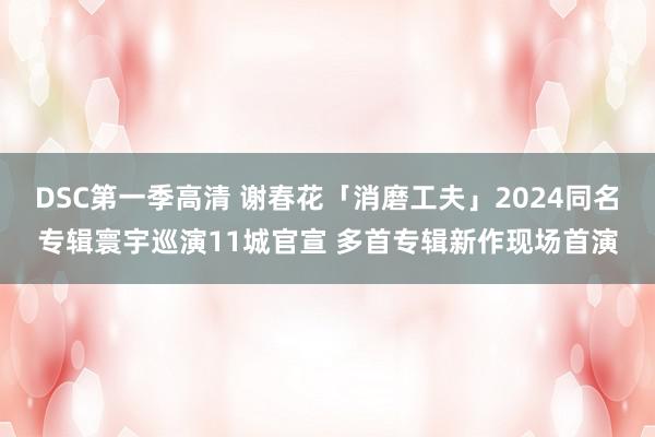 DSC第一季高清 谢春花「消磨工夫」2024同名专辑寰宇巡演11城官宣 多首专辑新作现场首演