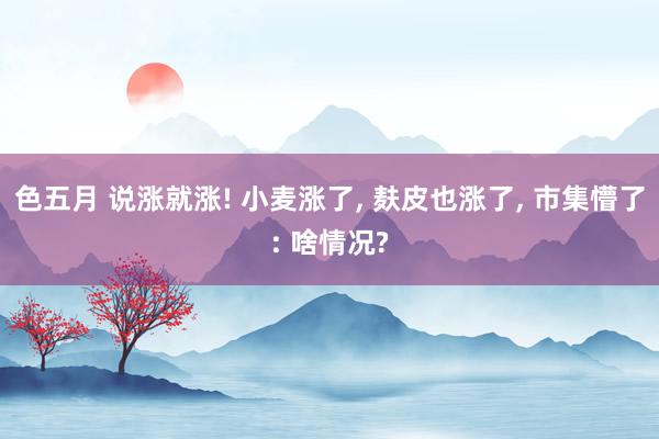 色五月 说涨就涨! 小麦涨了, 麸皮也涨了, 市集懵了: 啥情况?