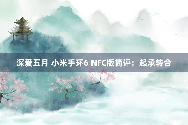 深爱五月 小米手环6 NFC版简评：起承转合