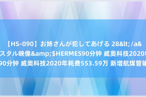 【HS-090】お姉さんが犯してあげる 28</a>2004-10-01クリスタル映像&$HERMES90分钟 威奥科技2020年耗费553.59万 新增航煤管输业务