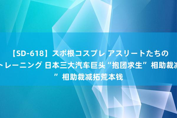 【SD-618】スポ根コスプレ アスリートたちの濡れ濡れトレーニング 日本三大汽车巨头“抱团求生” 相助裁减拓荒本钱