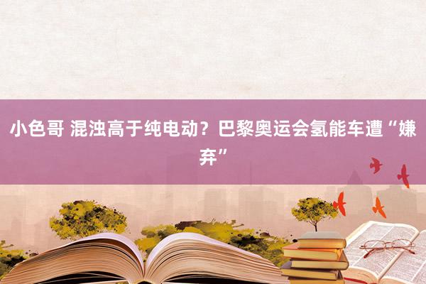 小色哥 混浊高于纯电动？巴黎奥运会氢能车遭“嫌弃”