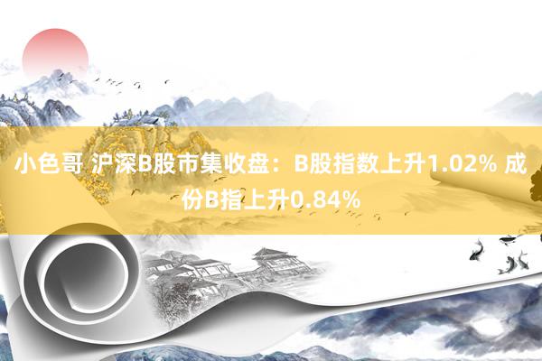 小色哥 沪深B股市集收盘：B股指数上升1.02% 成份B指上升0.84%