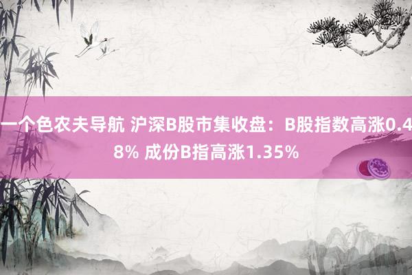 一个色农夫导航 沪深B股市集收盘：B股指数高涨0.48% 成份B指高涨1.35%