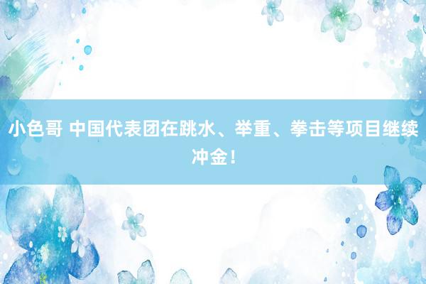 小色哥 中国代表团在跳水、举重、拳击等项目继续冲金！