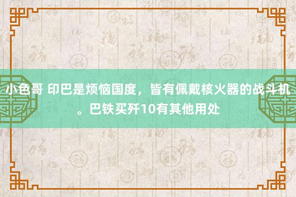 小色哥 印巴是烦恼国度，皆有佩戴核火器的战斗机。巴铁买歼10有其他用处