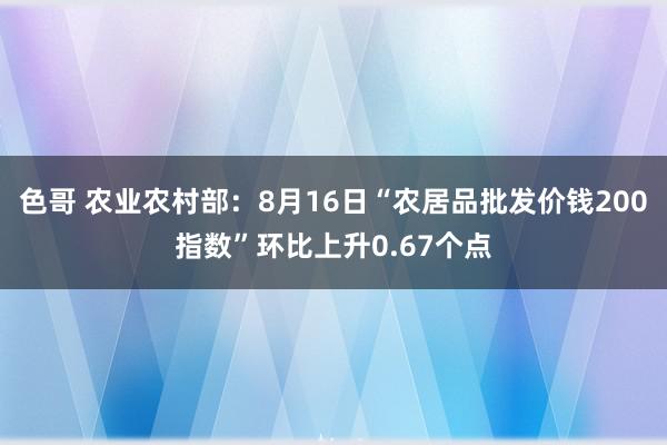 色哥 农业农村部：8月16日“农居品批发价钱200指数”环比上升0.67个点