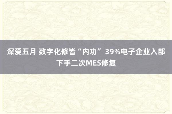 深爱五月 数字化修皆“内功” 39%电子企业入部下手二次MES修复