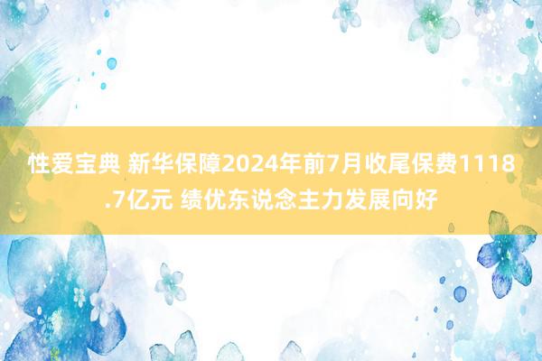 性爱宝典 新华保障2024年前7月收尾保费1118.7亿元 绩优东说念主力发展向好