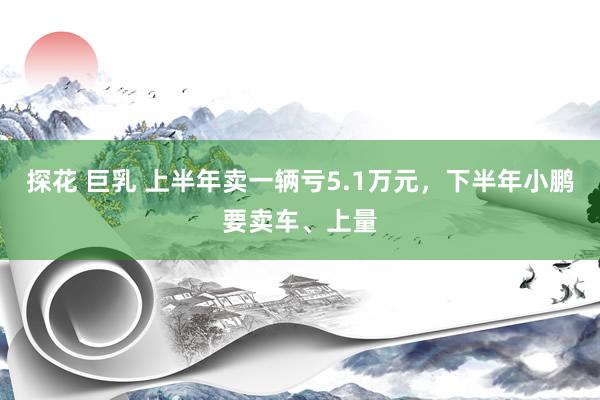 探花 巨乳 上半年卖一辆亏5.1万元，下半年小鹏要卖车、上量