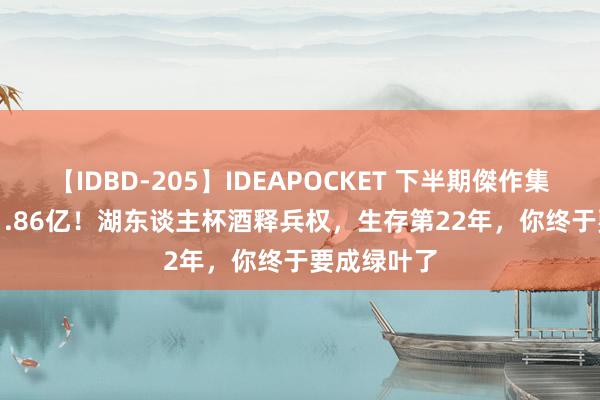 【IDBD-205】IDEAPOCKET 下半期傑作集2009 3年1.86亿！湖东谈主杯酒释兵权，生存第22年，你终于要成绿叶了