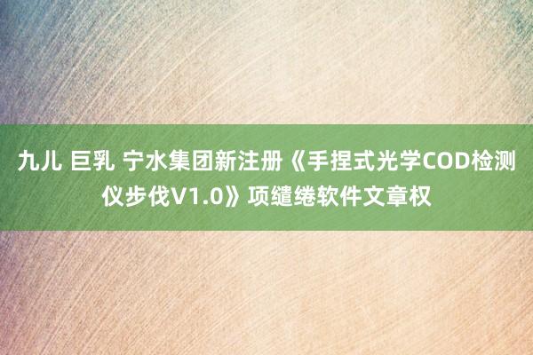 九儿 巨乳 宁水集团新注册《手捏式光学COD检测仪步伐V1.0》项缱绻软件文章权