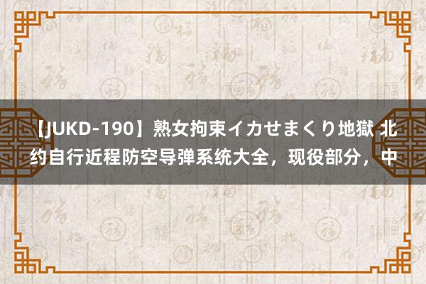 【JUKD-190】熟女拘束イカせまくり地獄 北约自行近程防空导弹系统大全，现役部分，中